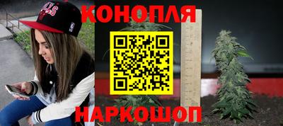 PSILOCYBIN Бугуруслан
