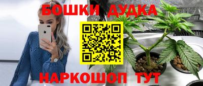 сатива Будённовск
