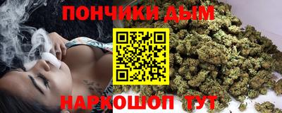 сатива Будённовск