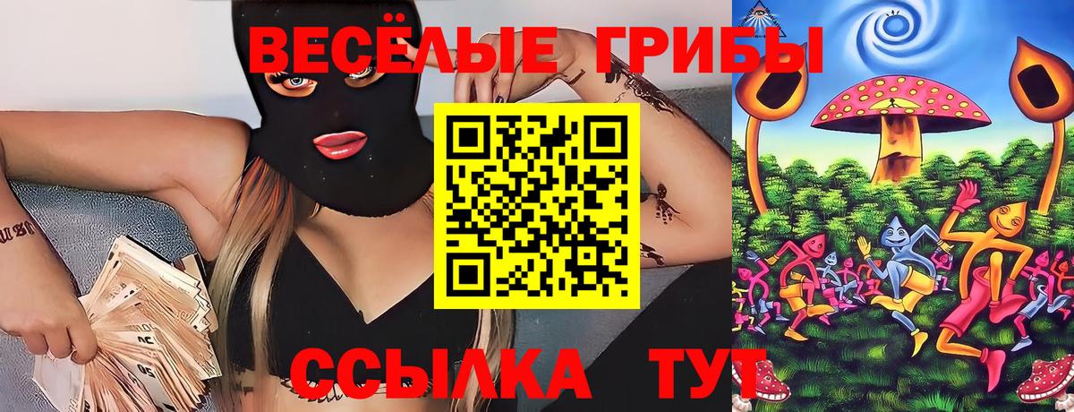 Галлюциногенные грибы Cubensis  Вход с VPN  Подольск  Галлюциногенные грибы Cubensis 