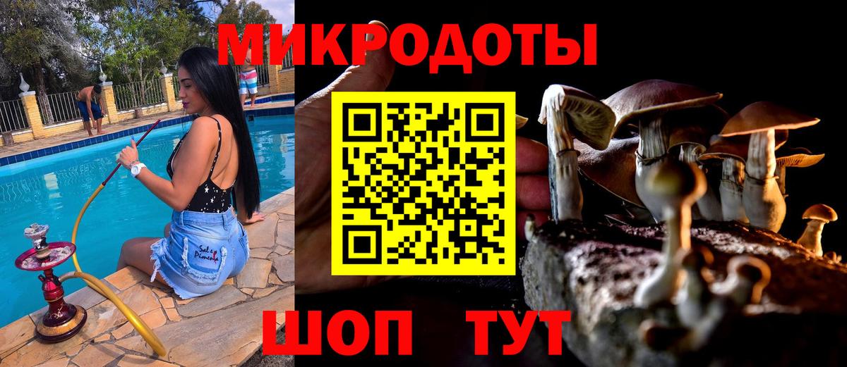 Галлюциногенные грибы прущие грибы Подольск